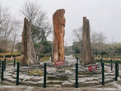 -金钉子远古世界景区
