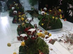 -精绝七日-新疆尼雅遗址数字大展【拉法耶文化艺术中心】