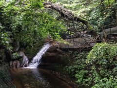 -洛阳白云山景区