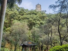 -深圳国际园林花卉博览园