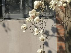 -南京晨光1865创意产业园