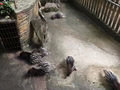-呀诺达热带雨林