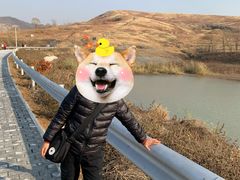 -恋山坝上草原