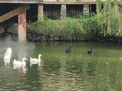 -天毓山庄·餐厅