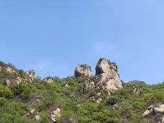 -大岭沟猕猴桃谷风景区