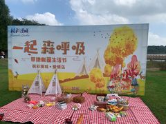 -南京枫彩漫城