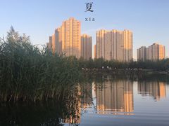 -前关湿地公园