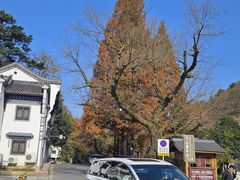 -九华山聚龙大酒店