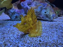 -上海海洋水族馆