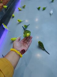 -未来动物城动物主题公园(大悦城店)