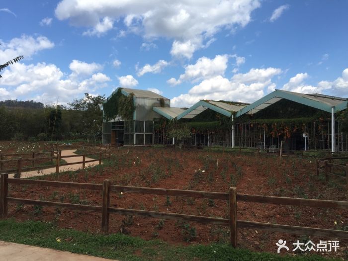 一丘田杨梅庄园-图片-富民县美食-大众点评网