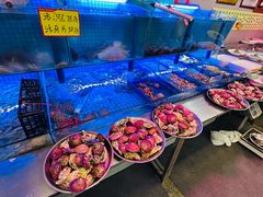 -老家黄墩小错鸡·活海鲜