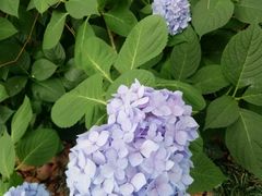 -常州古运河南大街文化旅游区-人民公园