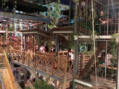 -Rainforest