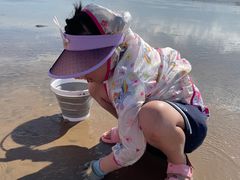 -南汇嘴观海公园