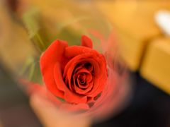 -佰园全日西餐厅-厦门佰翔软件园酒店