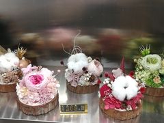 -植物学家的女儿(北马道巷店)