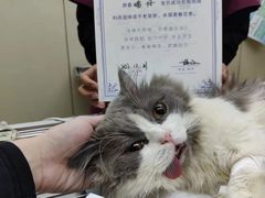 -芭比堂动物医院广州顽皮分院