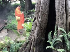 -Chom Cafe and Restaurant