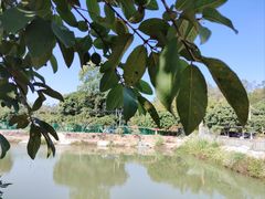 -溪悦渔庄(九龙湖店)