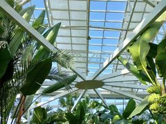 -石家庄市植物园