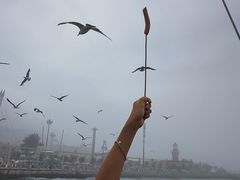 -星海广场