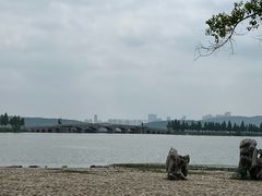 -东湖落雁景区