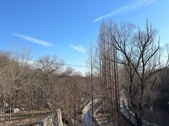 -白水寺森林公园
