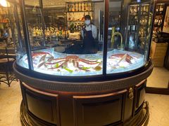 -壳里西餐厅Coquille Seafood Bistro(蒙自路店)