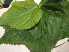 -千纸鹤嫩汁烤肉(学府店)