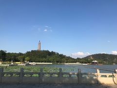 -顺峰山公园