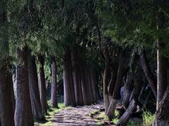-捞渔河湿地公园