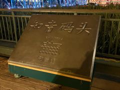 -武汉知音号