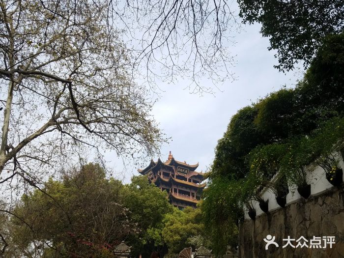 蔡林记(户部巷店)图片