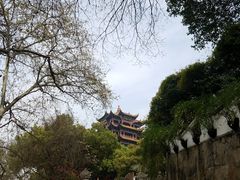 -蔡林记(户部巷店)