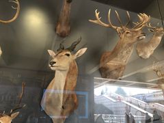 -陕西自然博物馆