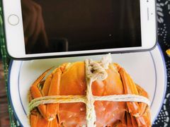 -乡乐园蟹庄·阳澄湖农家乐