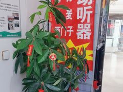 -自然之声助听器·呼吸机(和平店)
