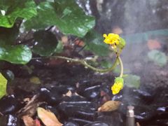 -苏州湾王焰温泉度假酒店