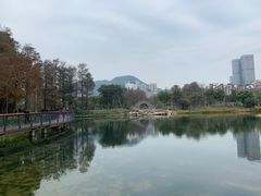 -四海公园(南山区)