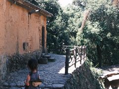 -杨家堂村