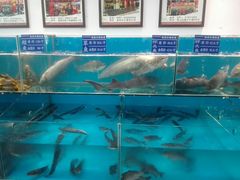 -老关东铁锅炖(上游街店)