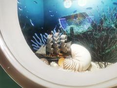 -海合安青岛极地海洋公园
