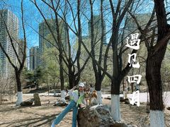 -长白岛森林公园