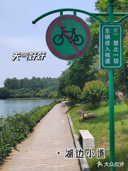 南国桃园旅游度假区图片