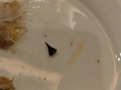-川道拐耗儿鱼(旗舰店)