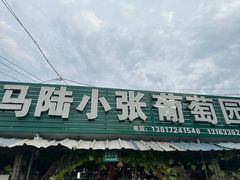 -马陆小张葡萄园农家乐