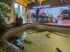 -胖姐渔村(中源大道店)