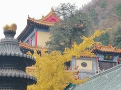 -千佛山风景名胜区