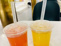 -飞行喵MR PILOT|猫舍·猫咖(静安大融城店)